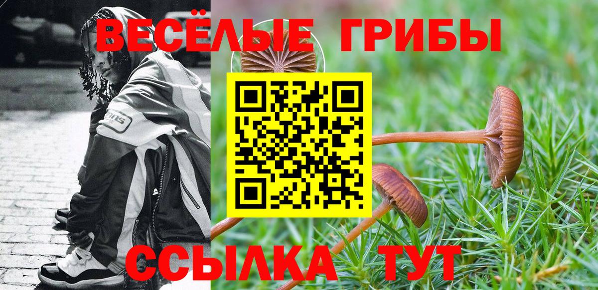 где купить наркоту  Вход с VPN  Орёл  Псилоцибиновые грибы прущие грибы  Псилоцибиновые грибы мухоморы 